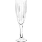 Premier Housewares Champagne Glasses Premier Housewares Beaufort Crystal Clear Champagne Glass