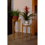 Indoor Plant Stands Decorotika Duoflo Wood Plant Stand Plant Plant Organiser