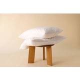 Bed Pillows on sale Surrey Down Goose Feather Continental Down Pillow