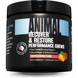 Recovering Fatty Acids Animal Recover & Restore Performance Chews, Tropical Mango, 120