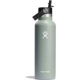 Hydro Flask Thermoses Hydro Flask 21 Standard Flex Straw Cap Thermos