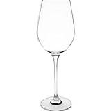 Olympia Wine Glasses Olympia Campana Crystal Wine Glass 6pcs
