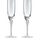 Denby Champagne Glasses Denby - Champagne Glass 28.1cl 2pcs