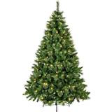Premier Decorations Pre-Lit Ridgemere Pine Dew Drop 6ft Christmas Tree