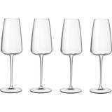 Transparent Champagne Glasses Luigi Bormioli Talismano Flutes Champagne Glass 4pcs
