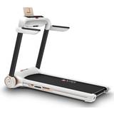 Treadmills on sale AsVIVA Laufband T21 kompakt