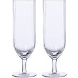 Ernst Champagne Glasses Ernst es Champagne Glass