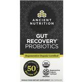 Recovering Gut Health Nutrition ROC Gut Recovery Probiotics 60 pcs