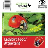 Bird Pest Control Wildlife World Ladybird Attractor Food
