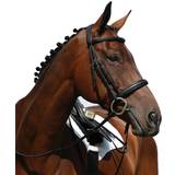 Bridles Collegiate Syntovia Padded Raised Cavesson Bridle