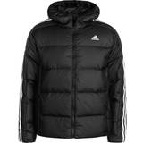 Adidas Jackets adidas Pad Hooded Jacket Black