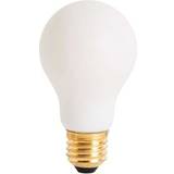 Incandescent Lamps on sale Tala Bulb for Muse 12V 6W 2200-2800K E27 CRI97
