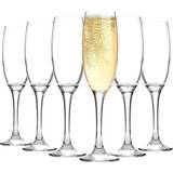 LAV Champagne Glasses LAV Venue Champagne Glass 22cl