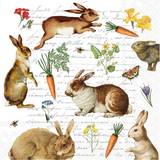 Easter Paper Napkins Ihr Easter Hare Hunt Printed Lunch Paper Napkins 20-Pack Disposable 3-Ply