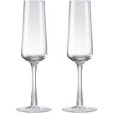Denby Champagne Glasses Denby Natural Canvas Set of Two Champagne Glass 2pcs