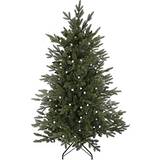 Celebright 6ft Pre-Lit Finland Fir Christmas Tree