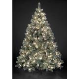 SnowTime Pre-lit Frosted Emerald Fir Green Christmas Tree 230cm