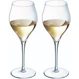 Chef & Sommelier Champagne Glasses Chef & Sommelier Exaltation Champagne Glass 10.1fl oz 2