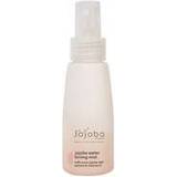 The Jojoba Company Facial Skincare The Jojoba Company water toning mist boosts skin radiance
