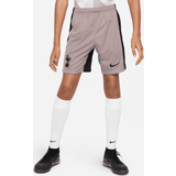 Nike Tottenham 3. Shorts 2023/24 Børn XS: 122128