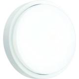 Loops Outdoor Round Bulkhead Cool White Wall light 50cm