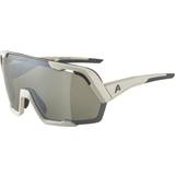 Alpina Unisex Sunglasses Alpina Rocket Bold Q-Lite Sportbrille 021