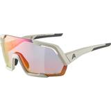 Alpina Unisex Sunglasses Alpina Rocket QV Sportbrille 521 cool