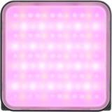 Zhiyun Fiveray M20C RGB, Dauerlicht