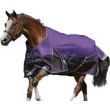 Purple Horse Rugs Weatherbeeta Comfitec Plus Dynamic Standard Neck Blanket-Lite Purple/Black