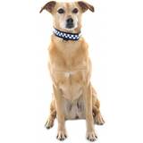 Equisafety Reflective LED POLITE Flashing Dog Collar Prolite