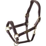 Halters & Lead Ropes on sale Shires Cushioned Leather Headcollar XFull Havana