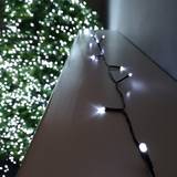 Remote Control Christmas Tree Lights Samuel Alexander 100 Premier Christmas Tree Light