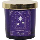 Purple Scented Candles Something Different Lavender The Star Scented Candle