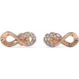 Rings Ladies Endless Dream Rose Gold Crystal Earrings UBE03262RG
