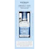 Hayman's Small Gin 20cl