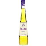 Galliano Beer & Spirits Galliano Vanilla 0,5l 50 cl