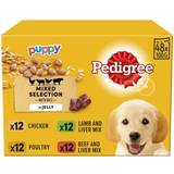 X 100G Pedigree Puppy Junior Wet Dog Food Pouches Jelly