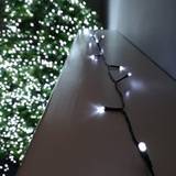 White Christmas Tree Lights Samuel Alexander Premier Christmas Tree Light