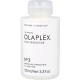 Hair Products Olaplex No.3 Hair Perfector 100ml