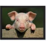 ARTERY8 Pig Piglet Cute Pink Baby Babe A4 Black Framed Art 23.5x32.3cm