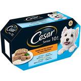Cesar 10+ Wet Dog Food for Senior Dogs, Meaty