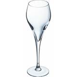 Arcoroc Champagne Glasses Arcoroc Brio Champagne Glass 16cl