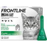 Cats Pets Frontline Plus Flea & Tick Treatment 3-Pack
