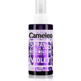 Delia Cameleo Spray & Go colouring hairspray shade Violet 150ml