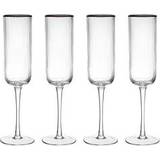 Glass Champagne Glasses Mikasa Maxwell & Williams Mk Sorrento Flute Champagne Glass 20cl