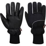 EN 343 Work Gloves Portwest Apacha Cold Store Glove Black