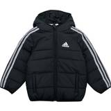 Adidas Winter jackets adidas Duffel coats JK 3S PAD JKT