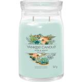 Yankee Candle Scented Candles Yankee Candle Signature Large Jar Aloe & Agave Scented Candle