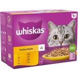 Whiskas 1+ Pouches in Jelly