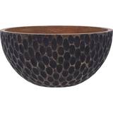 Brown Bowls Premier Housewares Tilford Wood Decorative Bowl